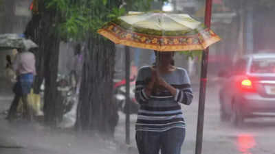 Mumbai close to 3,000mm rain mark; ‘green’ alert today