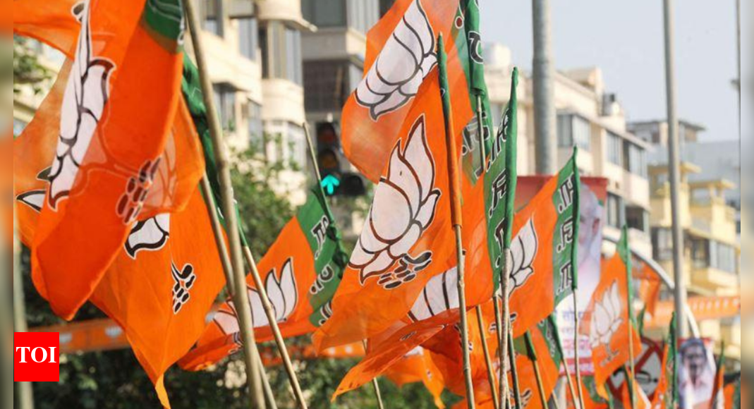 Puducherry set to get its first BJP MP