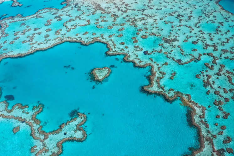 Great Barrier Reef, Australia 