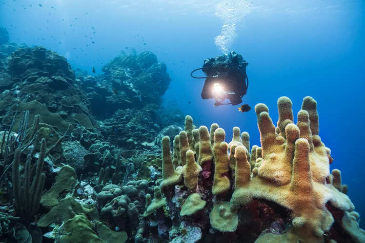 Underwater scooter rides