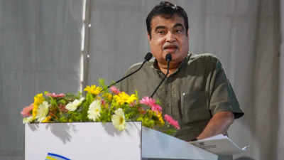 Can’t become a big leader by putting up your own cut-outs: Nitin Gadkari