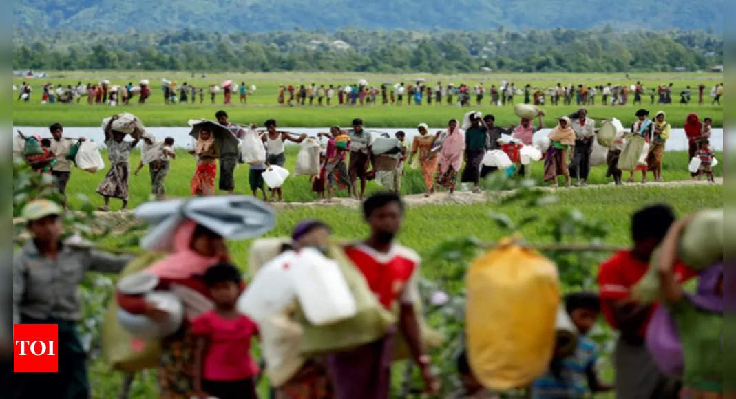 myanmar:  US announces another 0 million aid for Rohingya refugees – Times of India