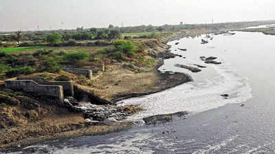 Gujarat HC, AMC want public shaming of river polluters