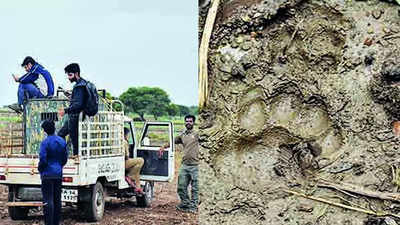 Drone pressed into service as search for leopard intensifies in Dharwad