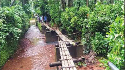Karnataka: Villagers cross stream on arecanut planks