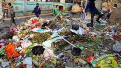 No garbage in Delhi in 6 months, claim civic bodies