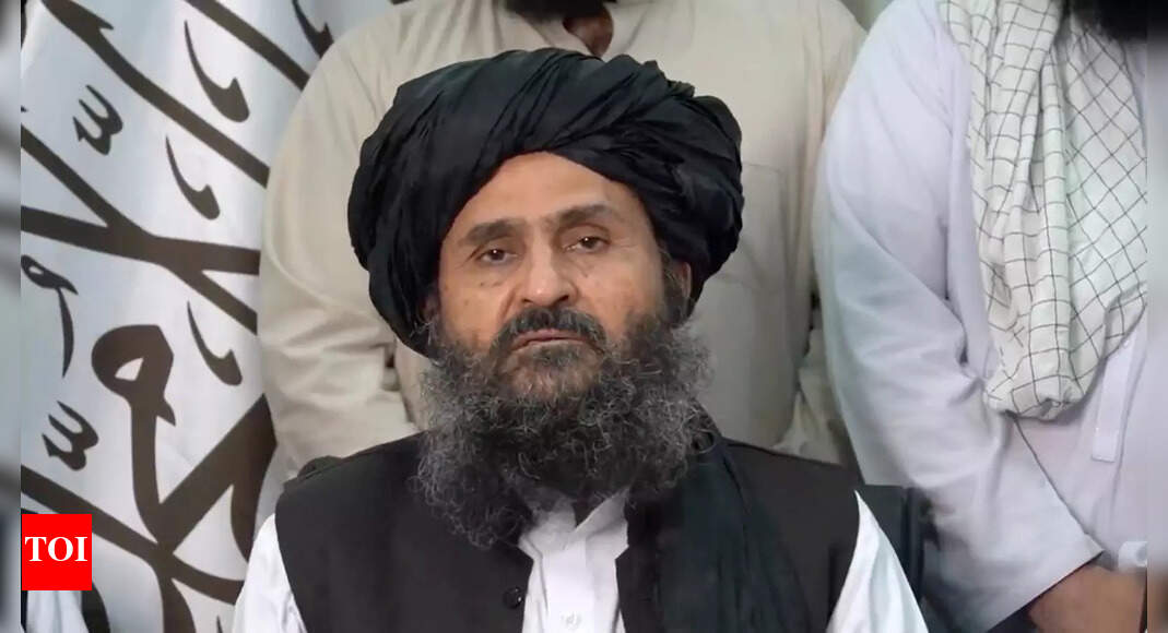 taliban: Taliban faces discord among top leadership – Times of India