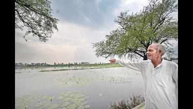 Farmers give thumbs up, but flooded fields a spoiler