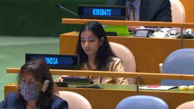 Pakistan is 'arsonist' disguising itself as 'fire-fighter': India's reply at UNGA