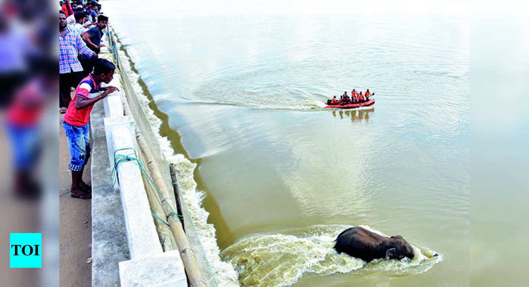 Odisha Boat Tragedy: Police Launch Probe, ODRAF Operation Questioned ...