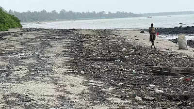 Maharashtra: Activists highlight oil, tar pollution at Raigad’s beaches