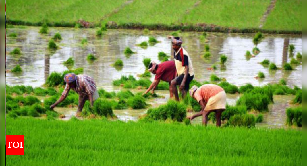 Can Non Farmer Buy Agricultural Land In Gujarat