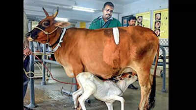 Applications up 20% for Tanuvas veterinary science courses this year | Chennai News - Times of India Applications up 20% for Tanuvas veterinary science courses this year | Chennai News - Times of India