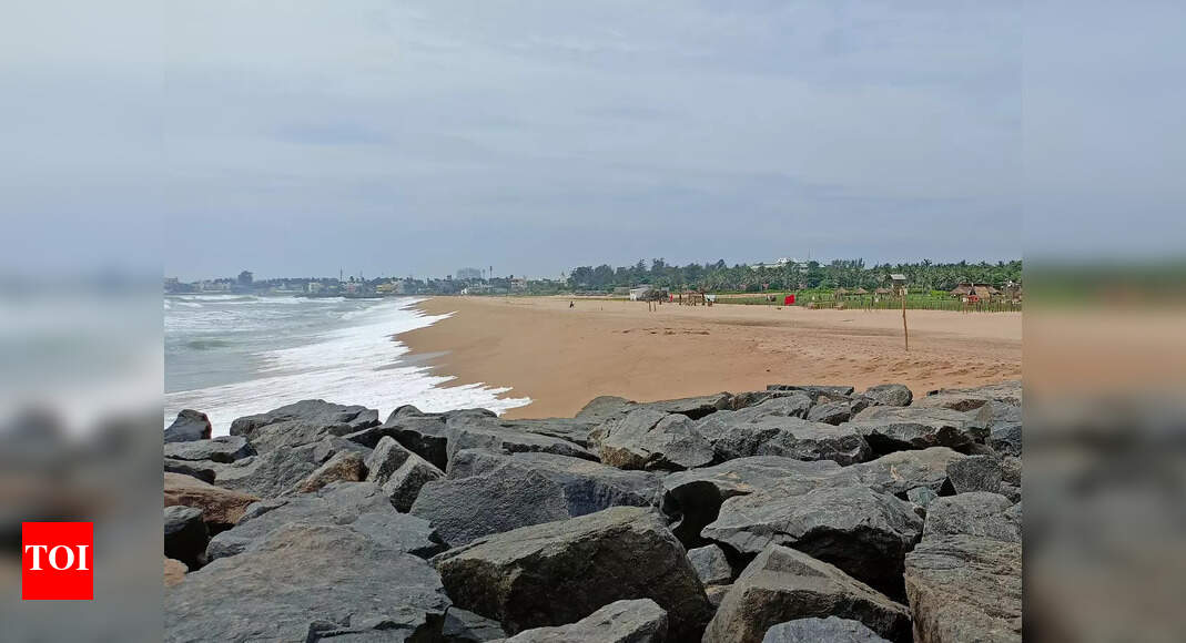 Chennaiites on Blue Flag certification for Kovalam beach Happy about