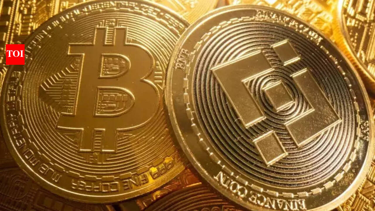 Texas-based Indian origin siblings earn $30,000 per month mining cryptos -  The Times of India