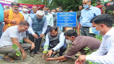 Himachal Pradesh becomes first state in India to begin organised cultivation of true dalchini