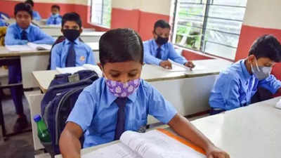 Middle school classes may start in Delhi after festival season