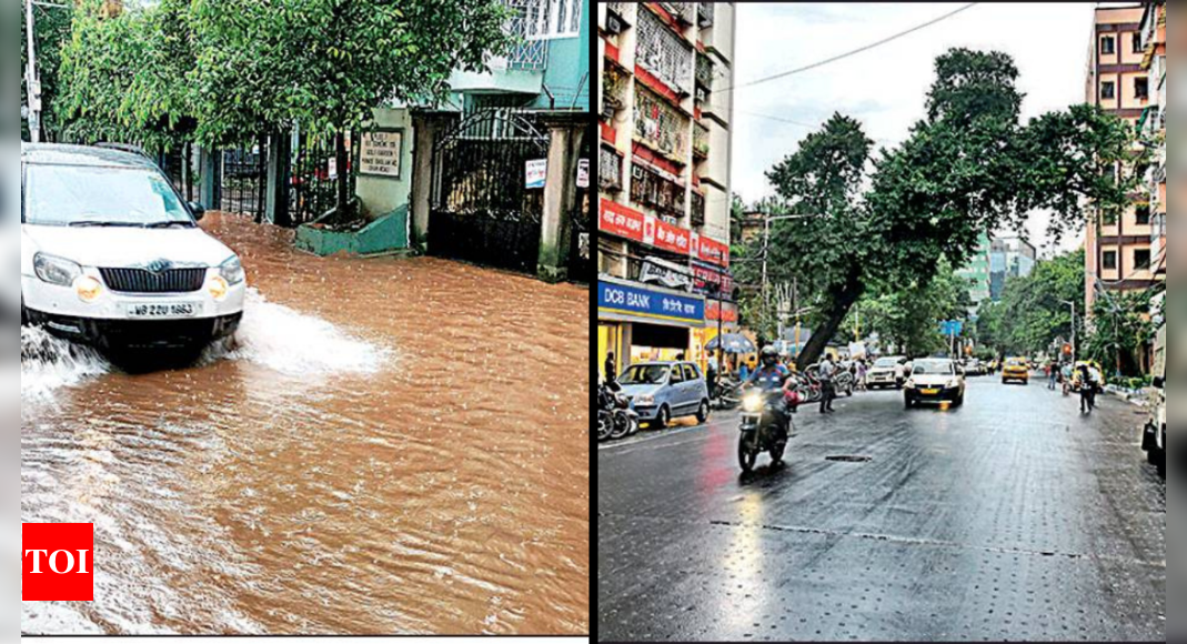 Chronic spots flood, but most of Kolkata stays above water