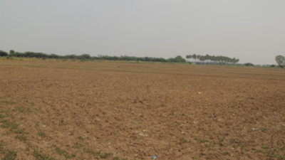 Rajasthan: Cancelled by Vasundhara Raje govt, Gandhian institution gets 7-bigha land back