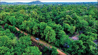 Telangana: Telangana Ku Haritha Haram, biggest plantation drive in ...