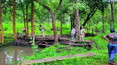 Experts may prepare master plan to preserve BTR’s eco-sensitive zone