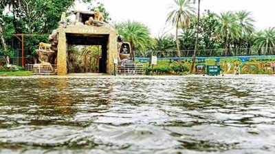 Hyderabad: Water from Mir Alam Tank floods Zoo Park