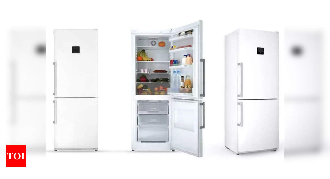 Double Door Refrigerators Under Rs 25,000 Finest Energy Efficient