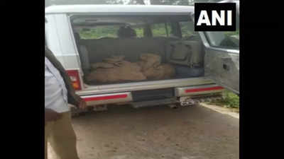 Karnataka: 16 monkeys killed, dumped off highway near Kolar