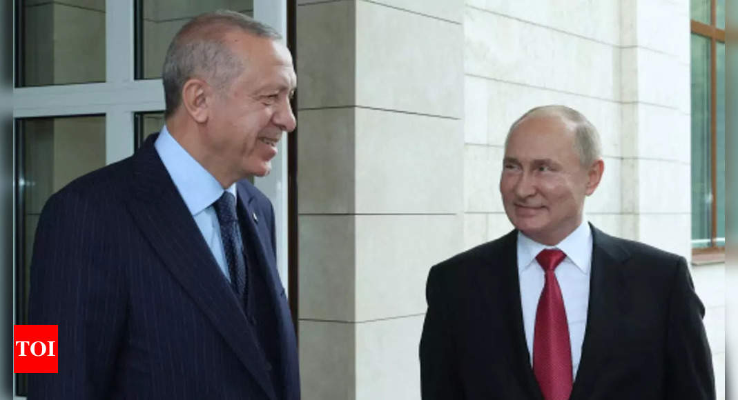 Erdogan, Putin mentioned warplanes, submarines cooperation: Report - Instances of India