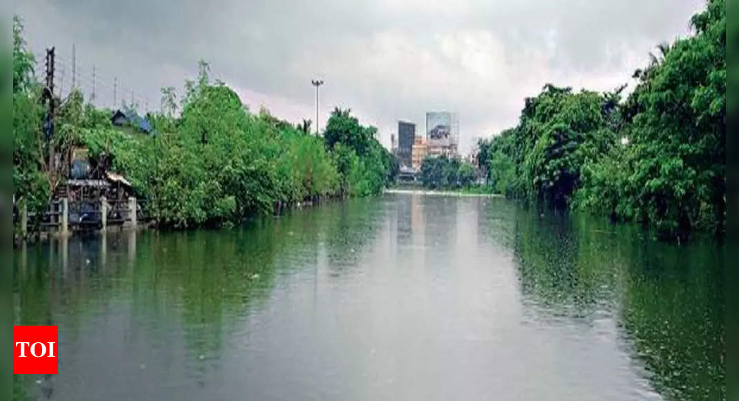 Kol: Choked canals to be dredged by May 2022