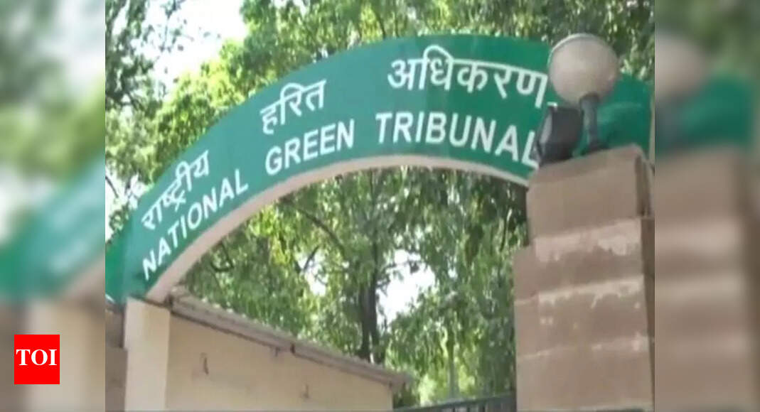 NGT seeks Trichy corporation report on polluted canal