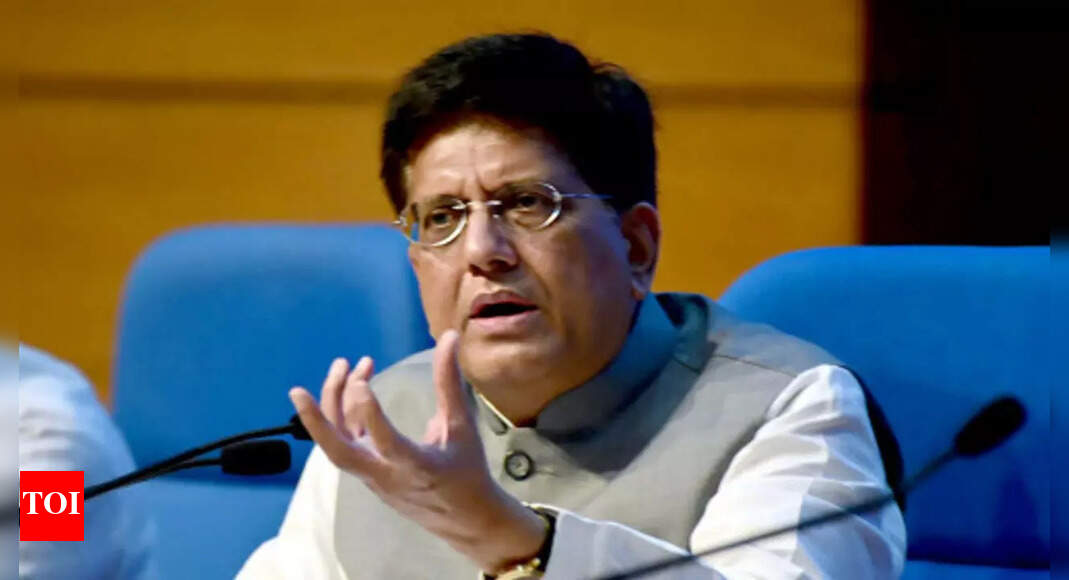 Gandhi Jayanti: In Dubai, Piyush Goyal calls Bapu a role model for every Indian