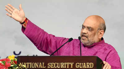 Amit Shah urges Indian youth to participate in country's path to development