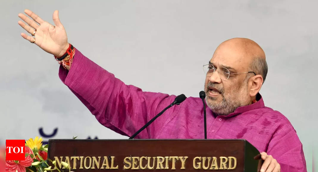 Amit Shah urges Indian youth to participate in country’s path to development | India News – Times of India