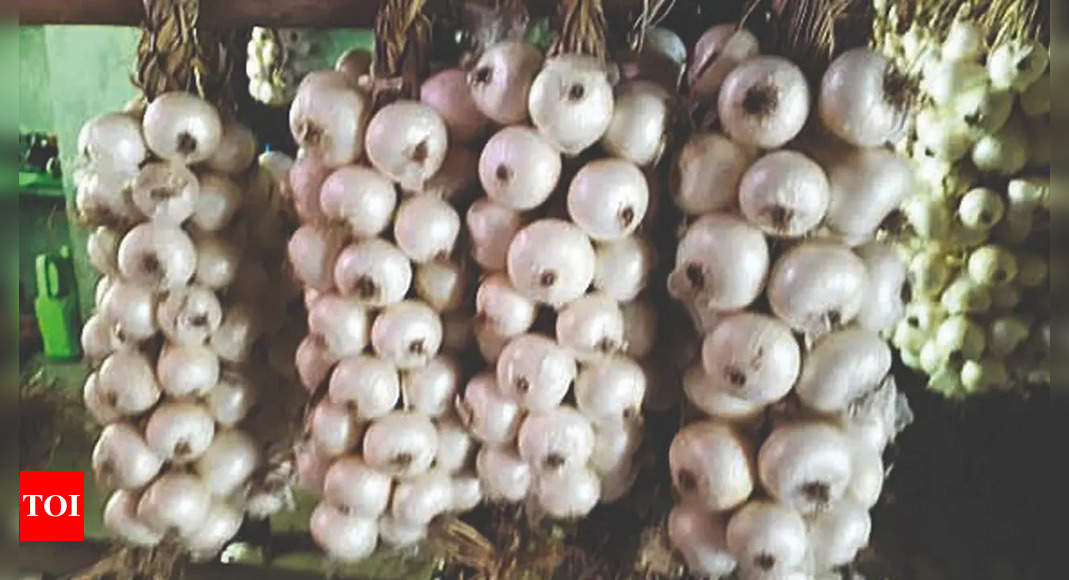 Alibaug white onion gets GI tag for health benefits