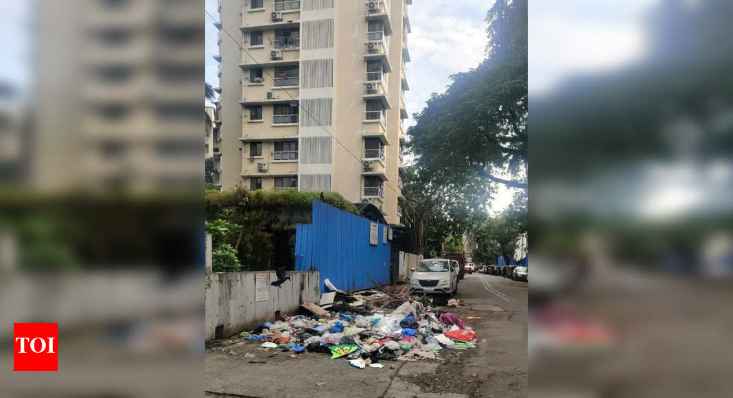 Need permanent solution from roadside garbage - Times of India