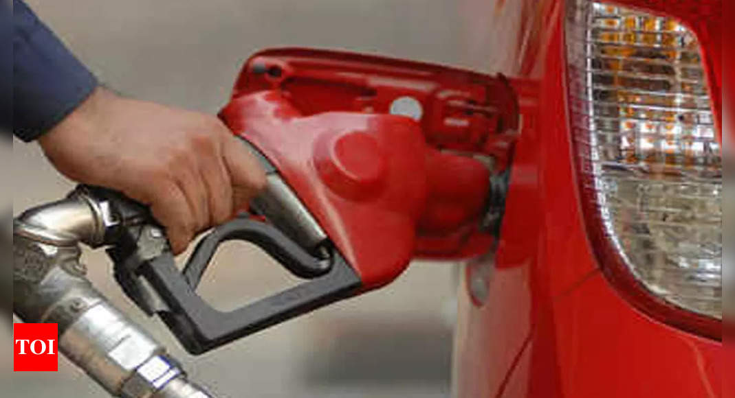 Goa: Petrol prices breach Rs 100-mark in Panaji, diesel close behind