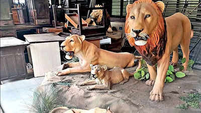 Lions dumped in Gandhinagar parking lot!