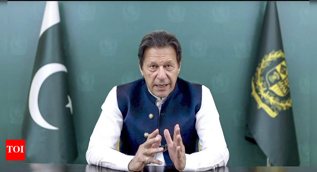 , Pakistan supports international terrorism, as big a threat as Taliban, says Belgian Senator, The World Live Breaking News Coverage & Updates IN ENGLISH