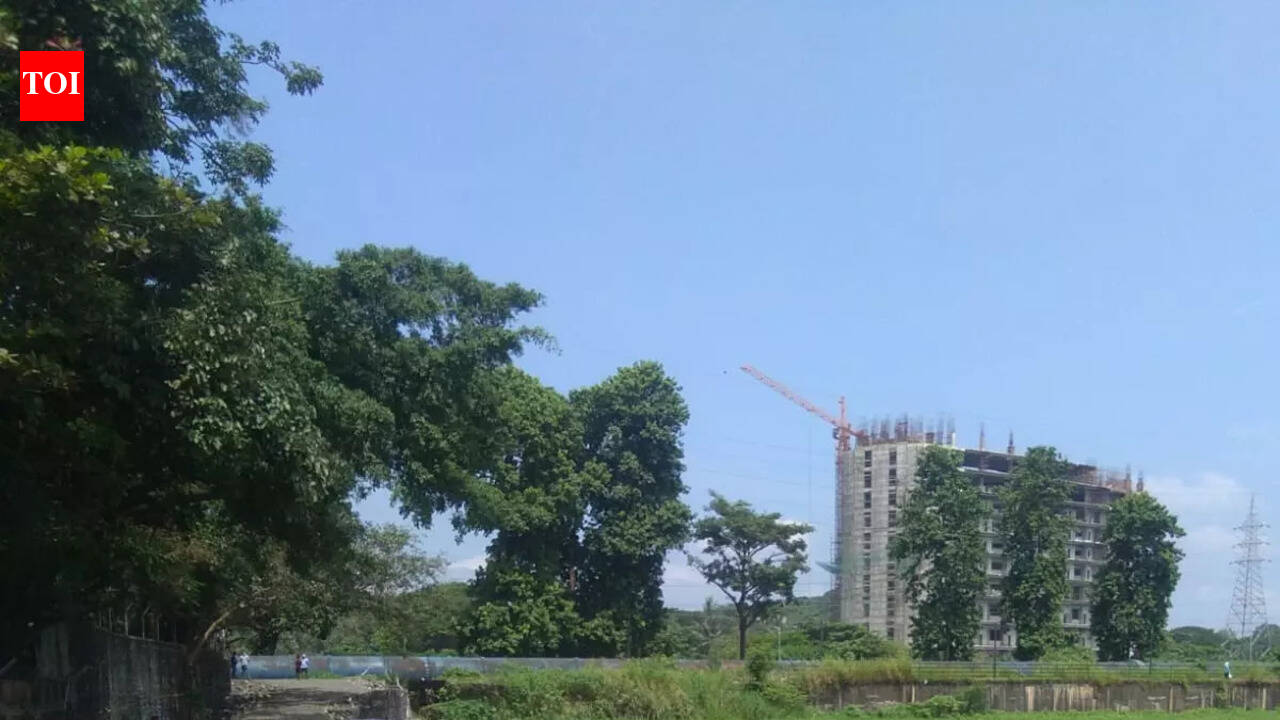 In Pics: 'Save Powai Lake' - nature lovers protest against construction ...