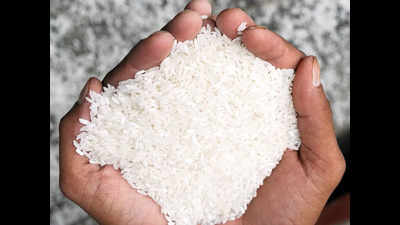 Palghar's famed Wada kolam rice gets GI tag