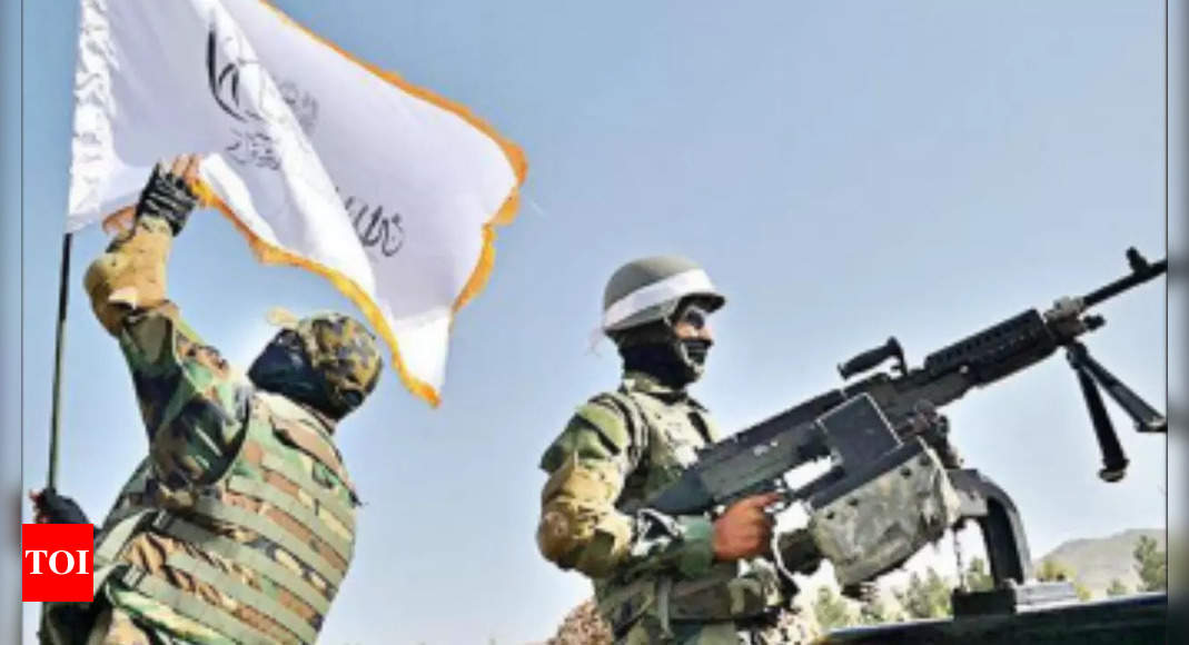 Talibanas: slaptos JAV ir Talibano susitarimo Dohoje dalys kelia nerimą Indija |  Indijos naujienos