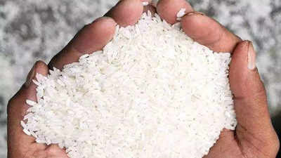 Maharashtra: Palghar’s famed Wada Kolam rice gets GI tag