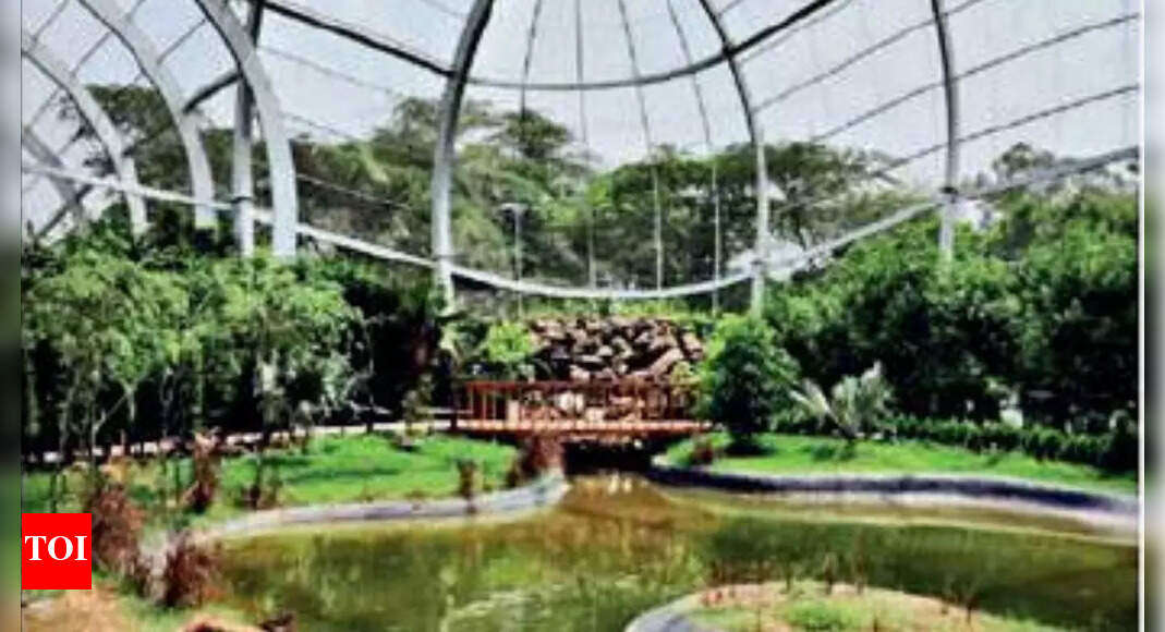 Walkthrough aviary not under zoo definition CZA reply to RTI query