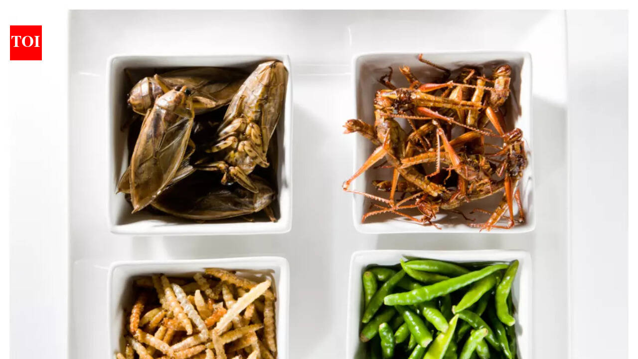10 Insects that are popular delicacies around the world