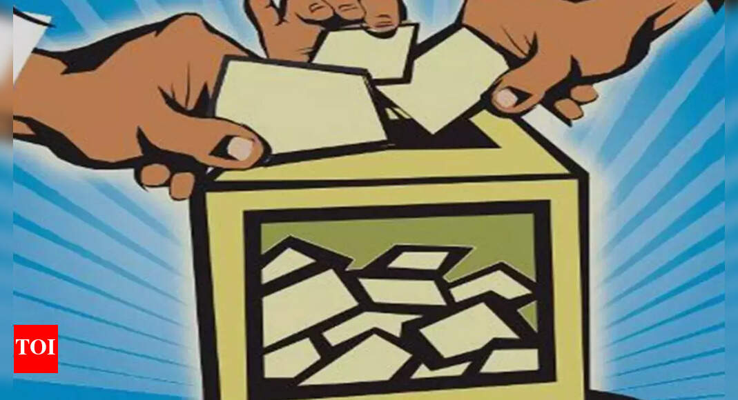 'Pondy civic poll put off to rectify quota issues'