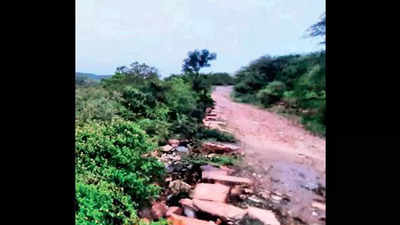 Rajasthan government plans to develop Galta forests as leopard habitat & begin tourist safari