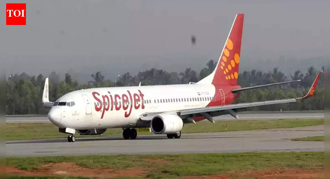 SpiceJet plans fleet expansion as carrier nears break-even - The Times ...