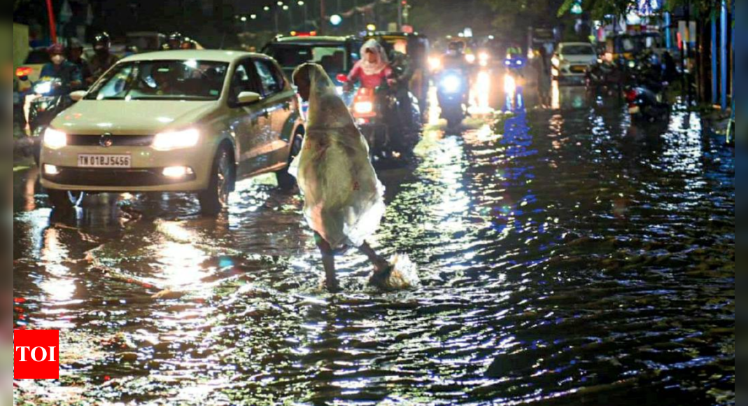 Rain lashes Chennai, more rain expected in next 24 hrs