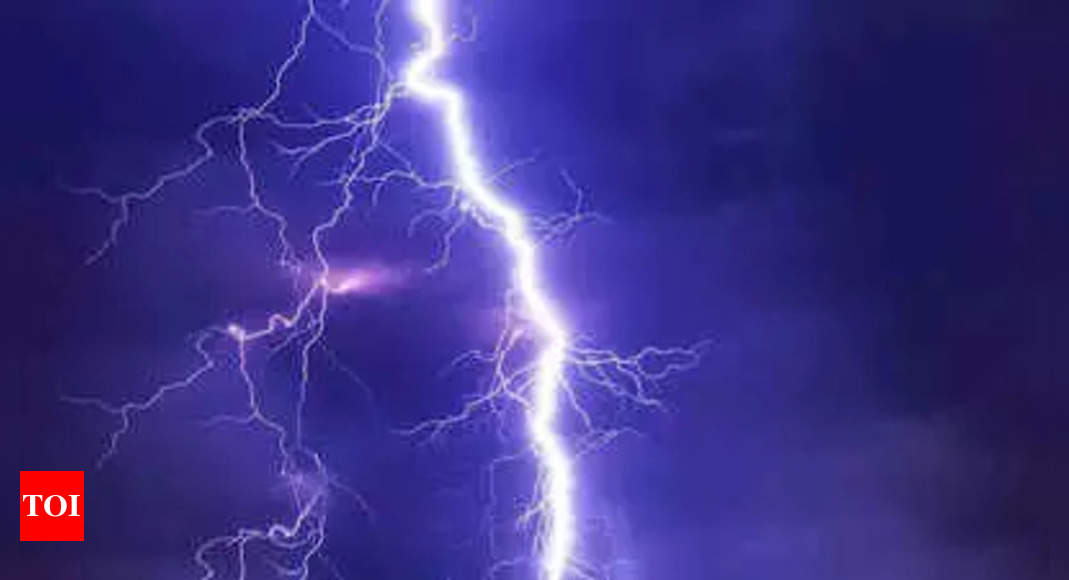 TN: Fisherman dies struck by lightning in mid-sea